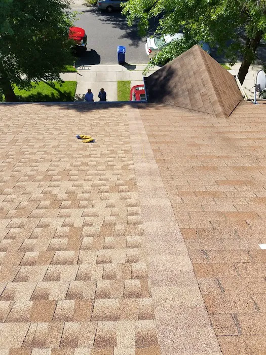 Fishtown Roofing by Richard Hammond Picture 3