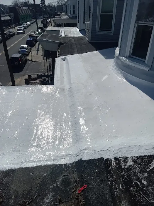 Forline Roofing Picture 4