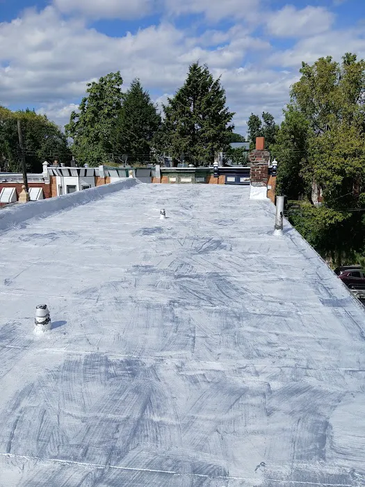Forline Roofing Picture 8