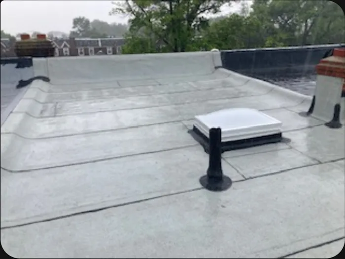 Fortuna Roofing Picture 4