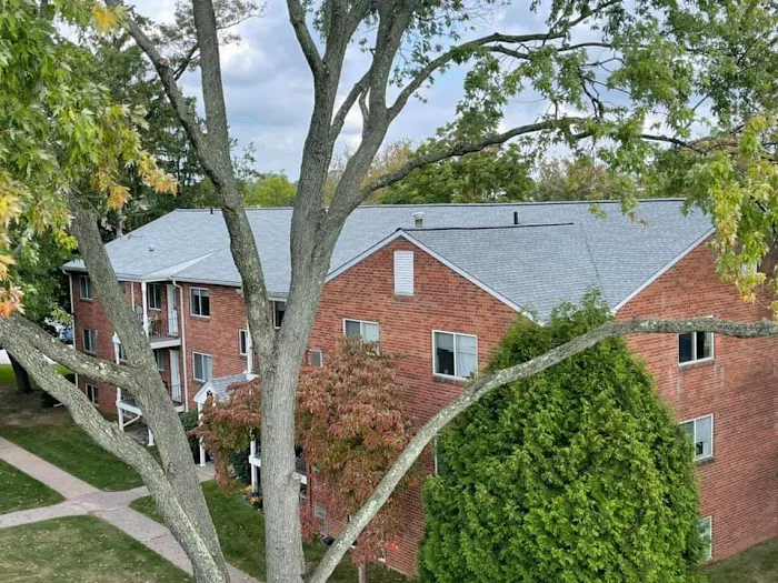 Skyline Roofing Exteriors Picture 6