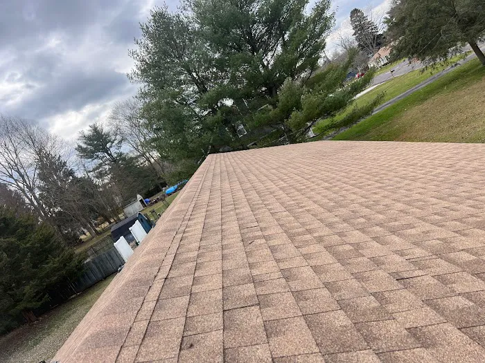 S&P Roofing and Construction pros Picture 5