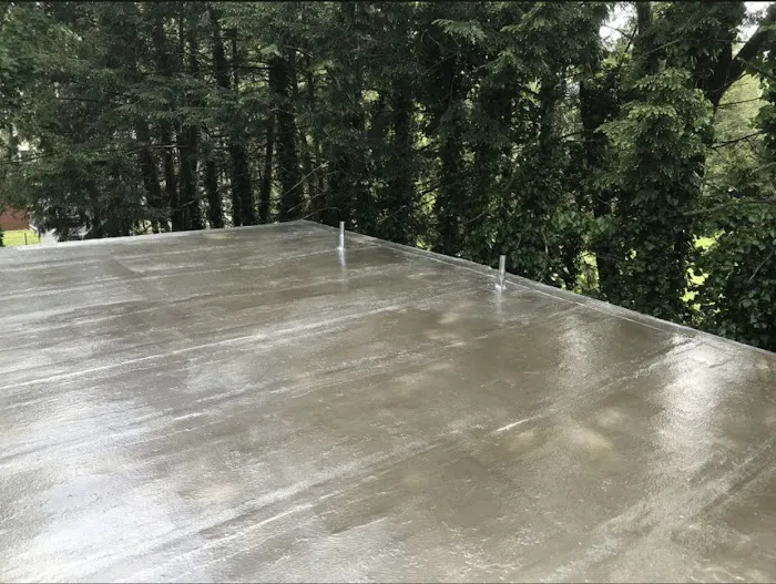 Markou Roofing Picture 4