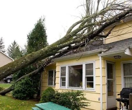 Choice Remodeling & Restoration Inc.