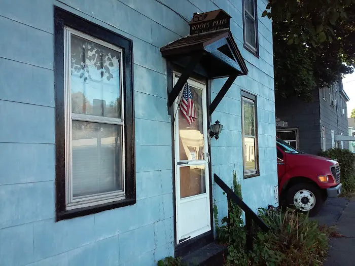 Roofs Plus Picture 1