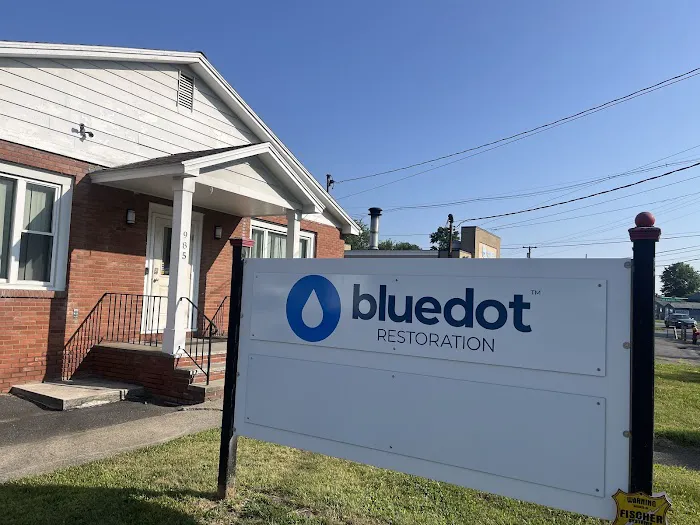 Blue Dot Restoration Picture 6