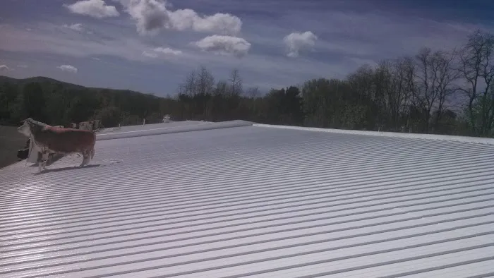 New York Central Spray Coat LLC Picture 1