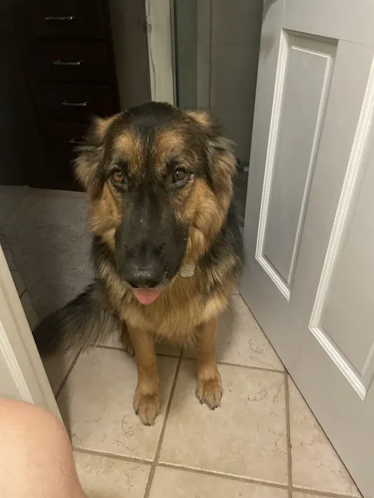 Independent Construction Picture 9