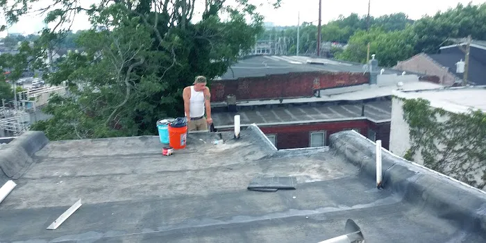 RAPTOR ROOFING Picture 1