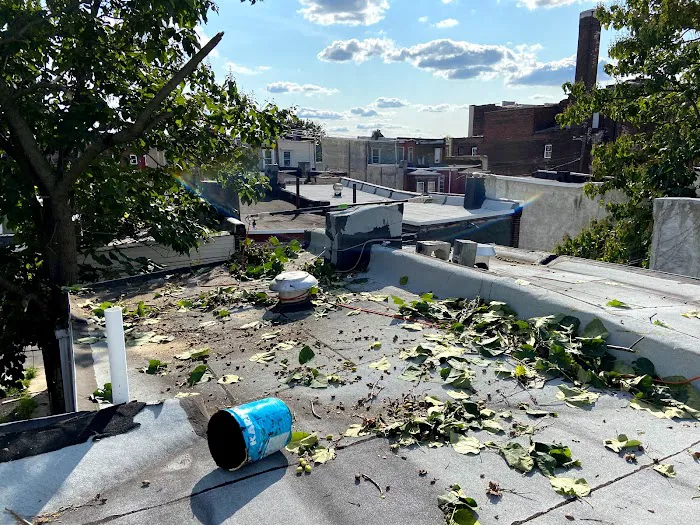 RAPTOR ROOFING Picture 6