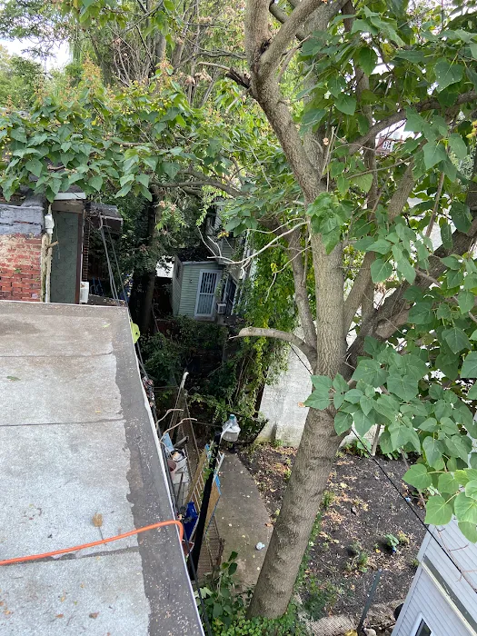 RAPTOR ROOFING Picture 10