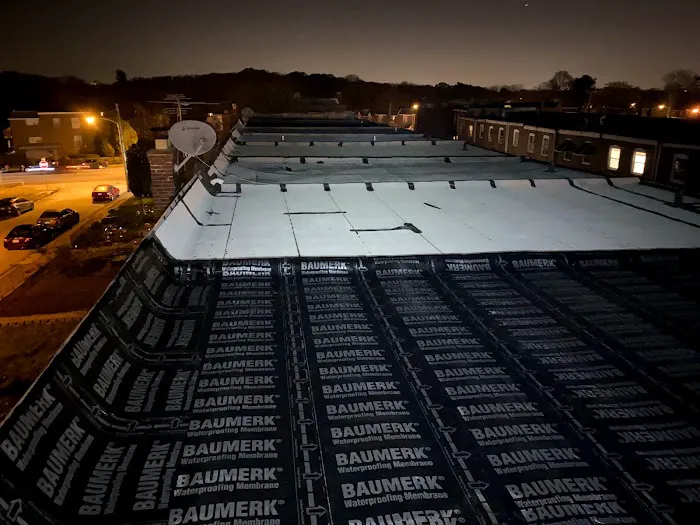 RAPTOR ROOFING Picture 2