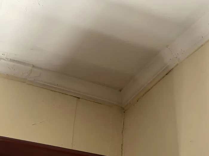 BRG ROOFING Picture 2