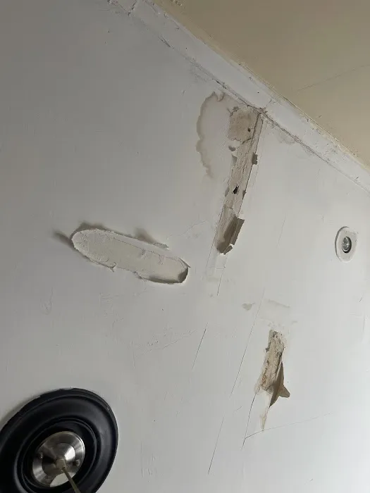 BRG ROOFING Picture 1