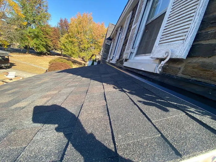 Leopard Roofing Picture 5