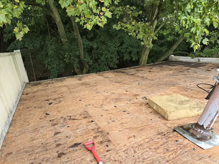 Leopard Roofing Picture 10