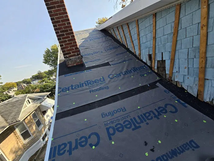 Leopard Roofing Picture 7