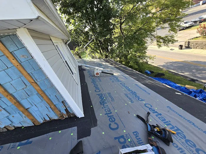 Leopard Roofing Picture 9