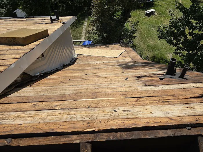 Leopard Roofing Picture 8