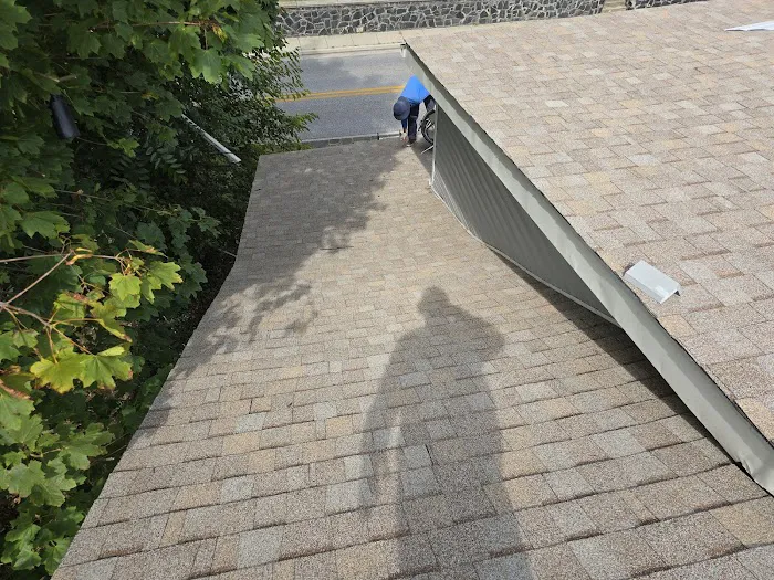 Leopard Roofing Picture 1