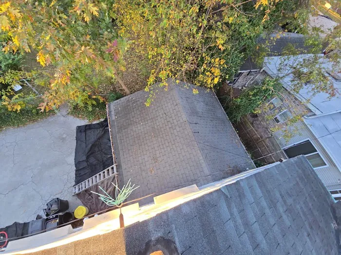 Leopard Roofing Picture 2