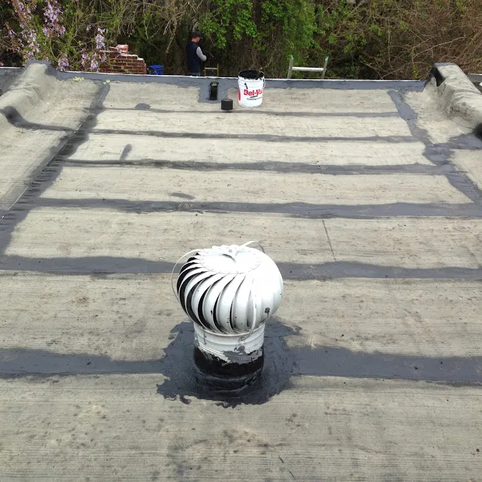Blue Collar Roofing Picture 4