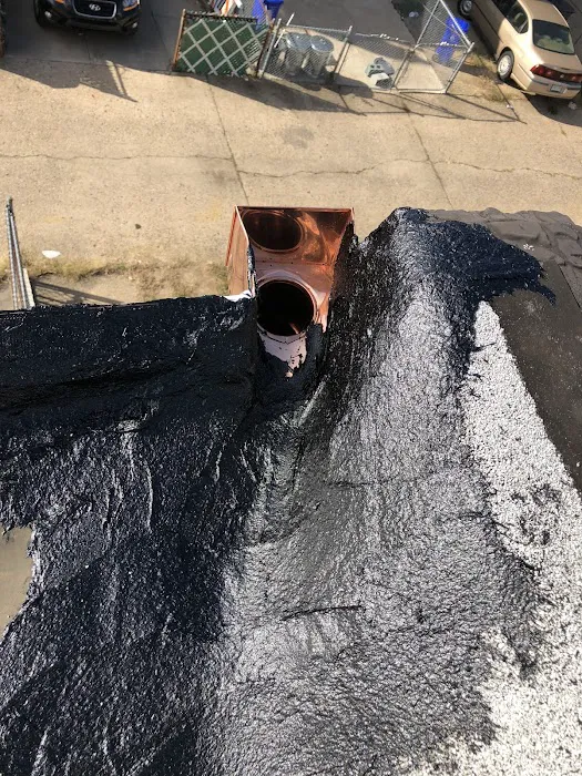 Blue Collar Roofing Picture 5