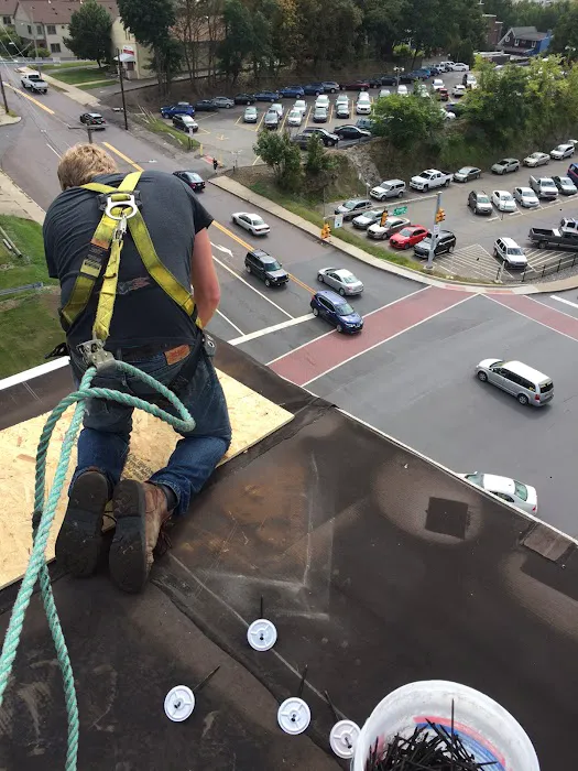 Blue Collar Roofing Picture 10