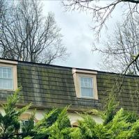 Cedar Roof Specialist ico