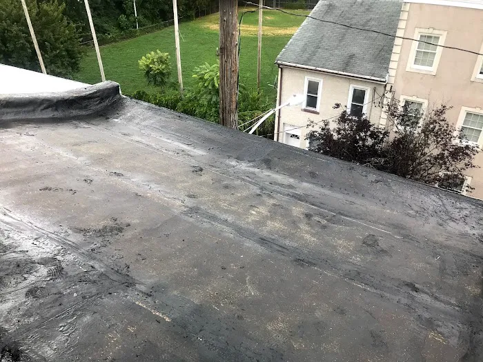 Roofline Roofing Picture 8