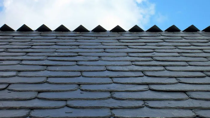 Fania Roofing Co Picture 3