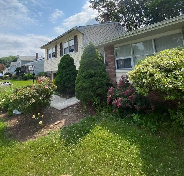 MLM Home Improvement Picture 5