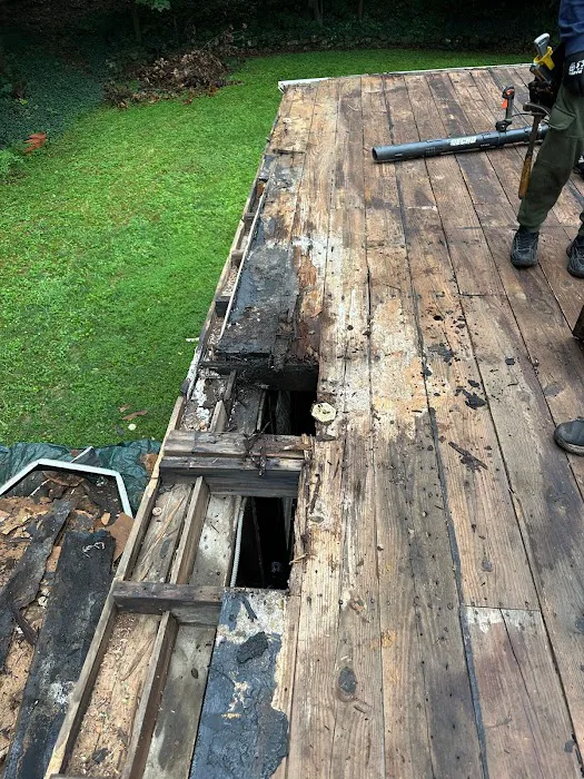 Xterior Solutions Picture 3