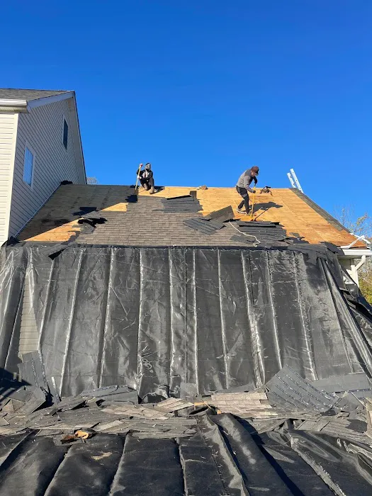 Xterior Solutions Picture 7