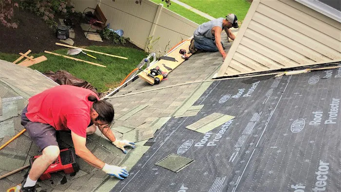 Peters Roofing and Gutters Inc Picture 3