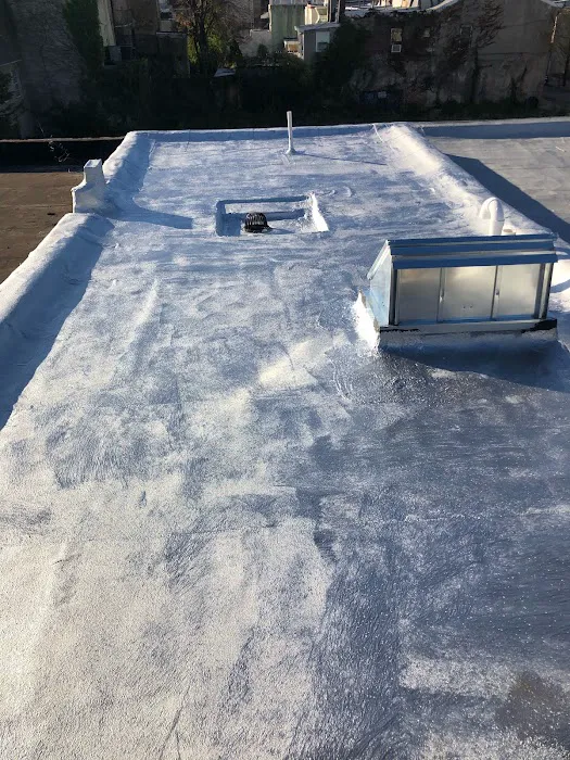 FM & Loonstyn Roofing Picture 10