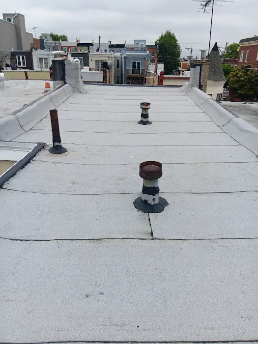 FM & Loonstyn Roofing Picture 6