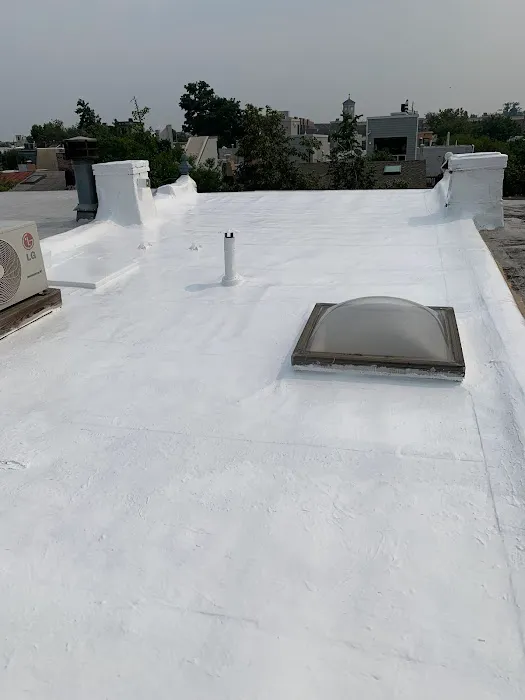 The Roof Doctor Picture 6