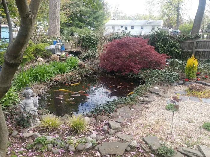 Menna Roofing Picture 6