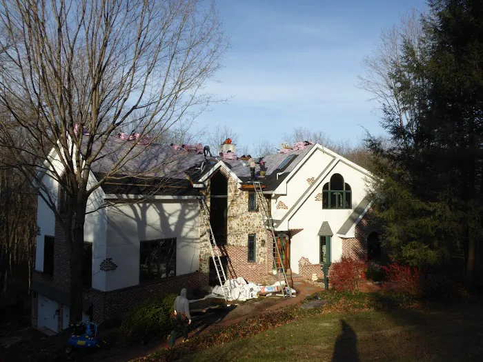 Vera Roofing Picture 1