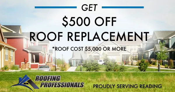 Roofing Professionals Picture 2