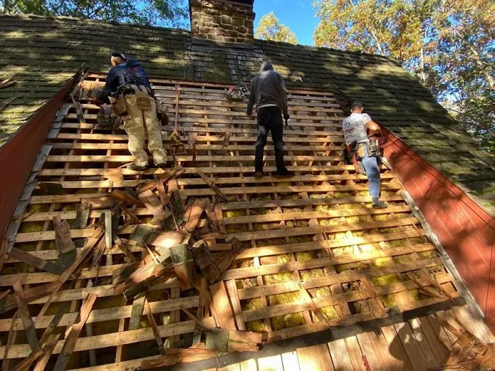 Detailz Carpentry & Roofing LLC Picture 8