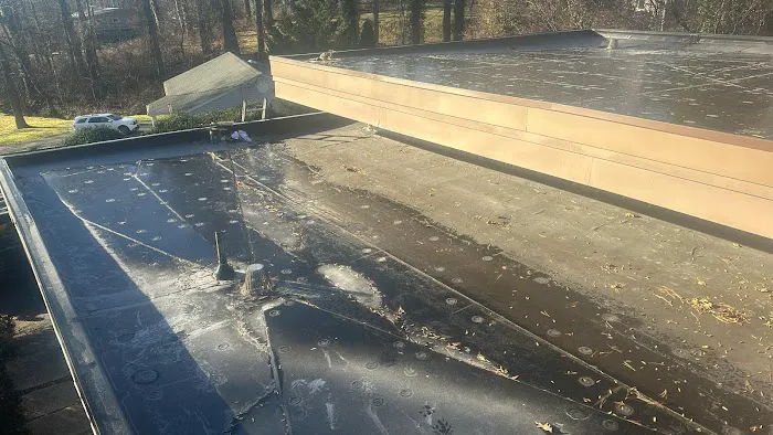 Detailz Carpentry & Roofing LLC Picture 1