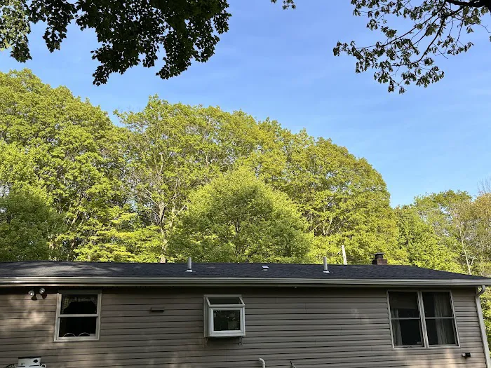 AAA Roofing Picture 4