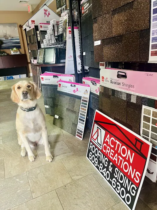 Action Creations Roofing & Siding Picture 2