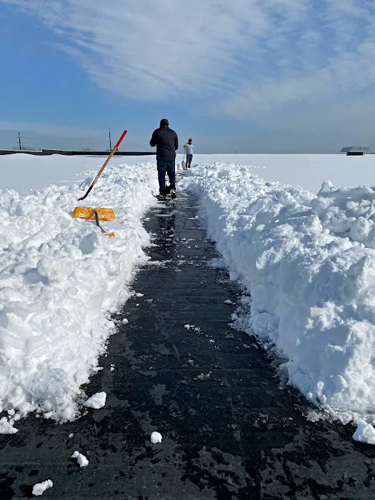 CP Rankin Inc. - Roofing Experts Picture 4