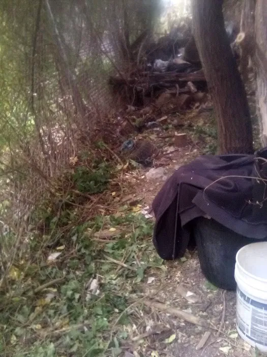 Main Line Roofing Picture 2