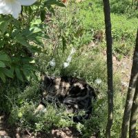 We Do Metal Roofs - Reading, PA District Office ico