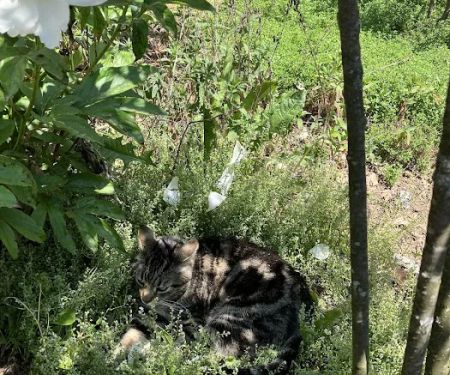 We Do Metal Roofs - Reading, PA District Office