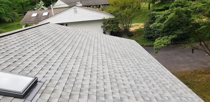 Triple Pine Roofing Picture 2